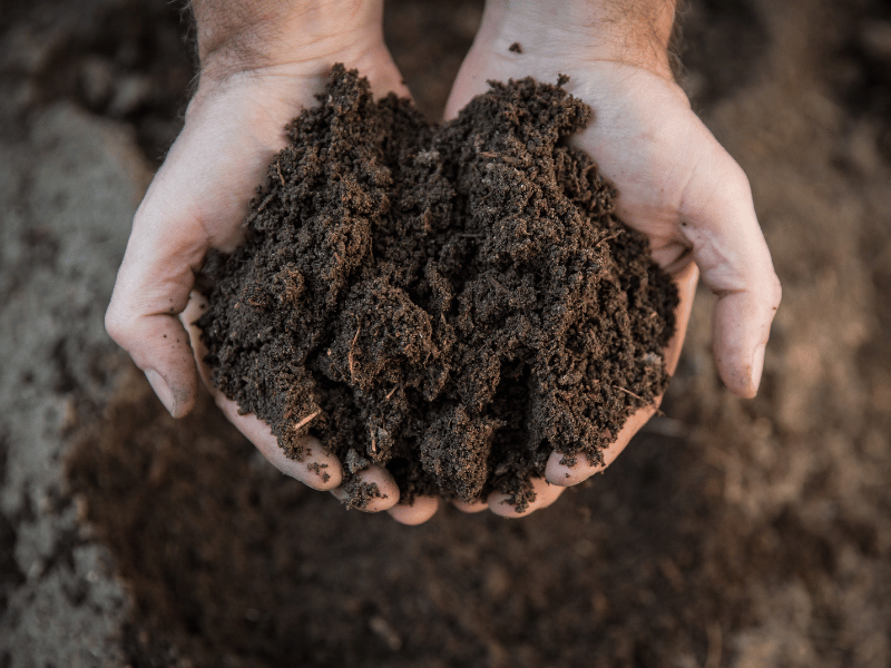 Hands hold dark soil shaped like a heart, symbolizing growth and transformation from creative mess.